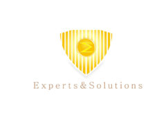 experts-solutions